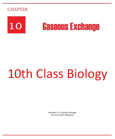 10th Class Biology Full Book PDF English Medium (Punjab Education)